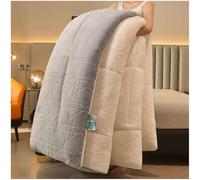 ZTGL Couette en Super Doux Velours d'agneau Couette Chaude en Hiver, Double Super Épaisseur Couverture, Moelleux et Respirant Édredon, Tissu Cachemire d'agneau Chaud Rapide,Light Gray,110x150cm(1kg)