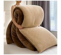 ZTGL Couette en Velours Double Face, Couvertures d'hiver Épaissir et Chaudes, Épais Chaud Microfibre Couette Hiver en Peluche, Doux Édredon 2 Personne Luxueuse Anti-Allergique B, 200 * 230cm/4kg