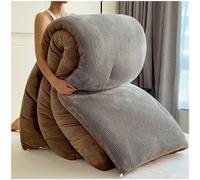 ZTGL Couette Polaire Biface Épaisse Et Chaude, Couette en Tissu De Velours, Luxueuse Couette de Lit Réversible 2 Personnes Edredon, Couverture éPaisse Gonflant pour l'hiver,Gris,150x200cm(3.5kg)