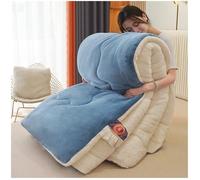 ZTGL ÉDredon Chaud en Laine pour Hiver et Automne 2.5-5 kg, éPaissir Consolateur Couverture d'hiver en Sherpa éPaissi Chaude, Couette Gonflant d'hiver pour lit 2 Personnes,Bleu,150x200cm(3.5kg)