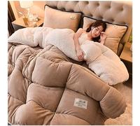 ZTGL éDredon Chaude en Hiver, Couette en Duvet, Couvertures d'hiver Chaudes et épaisses, Chaude Gonflant éPaisse Édredon, Laine et Cosy, Luxueuse Couette 2 Personne,D,220x240cm(5kg)