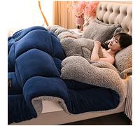 ZTGL ÉDredon Chaude en Hiver, Couette en Duvet, Couvertures d'hiver épaisses et Chaudes, Chaude Gonflant éPaisse Édredon, Couette 2 Personne Laine Luxueuse Anti-Allergique