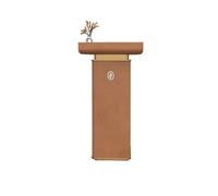 ZTHYSHOZ Lutrins et podiums Podium de Salle réunion d'entreprise pupitre Luxueux et Minimaliste Moderne(Bruin)