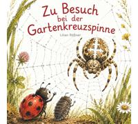 Zu Besuch bei der Gartenkreuzspinne
