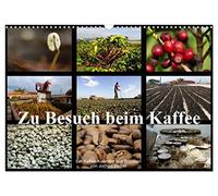 Zu Besuch beim Kaffee (Wandkalender 2026 DIN A3 quer), CALVENDO Monatskalender: Der Kaffee-Kalender aus Brasilien