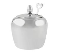 Zuasdvnk Bocaux d'assaisonnement - Bocaux à sel avec cuillère - Pot de 250 ml en acier inoxydable - Boîte de rangement hermétique - Accessoires de cuisine pour sel, condiment, grains de café