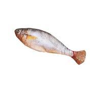 Zuasdvnk Jouets à à Chat en Forme de Poisson | Jouets électriques Actifs pour Chat - Queue réelle Interactive, remue, Saut, Poisson électrique pour Chaton d'intérieur