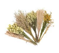 Zuasdvnk Literie de fleurs de foin pour hamster, fleurs pour petits animaux - Habitat de souris décoratif naturel pour gerbilles naines
