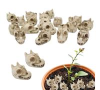 Zuasdvnk Pierres pour vases - Pierres végétales - Vingt crânes de dragon polis - Accessoires design pour jardin, aménagement paysager intérieur et extérieur