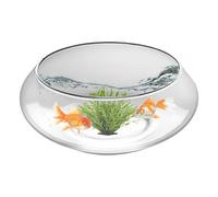 Zubehors Aquarium en Verre - Pot Bas | Bac Poisson Large et Bas Rond pour Décoration d'Intérieur Succulentes et Présentation