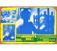 Zuhhgii Plaque rétro en étain The Serpent's Egg Original Australian Lobby Card 1 Ingmar Bergman Rétro of Classic Old Film Poster Metal Sign TV Bar Man Cave Décoration murale 20,3 x 30,5 cm