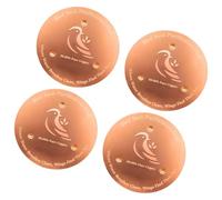 ZUJIABAO Lot de 2 disques en métal solides pour bains d'oiseaux fournissant un entretien naturel de l'eau et un nettoyage réduit pour les amateurs d'oiseaux - Filtre à eau en bronze transparent