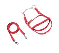 Zunate Aide à l'entraînement aux Rênes Latérales en Nylon Durable |Bride de Cheval Réglable pour Poneys de Moins de 1, de Hauteur d'épaule, Noir S, Rêne équestre (Grand 44x35x17cm)