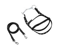 Zunate Aide à l'entraînement aux Rênes Latérales en Nylon Durable |Bride de Cheval Réglable pour Poneys de Moins de 1, de Hauteur d'épaule, Noir S, Rêne équestre (Grand 44x35x17cm)