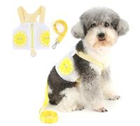 Zunea Ensemble harnais et laisse pour chiens de petite taille avec fermeture éclair - En maille douce et respirante - Motif citron mignon - Taille XS/S - Jaune - Taille S