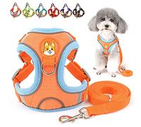 Zunea Ensemble Harnais et Laisse pour Petit Chien Anti Traction Réglable Réfléchissant Chiot Harnais Veste en Daim Souple Anti-Fuite Chat Harnais pour la Promenade pour Chihuahua Yorkshire Orange XL