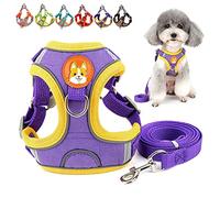 Zunea Ensemble Harnais et Laisse pour Petit Chien Anti Traction Réglable Réfléchissant Chiot Harnais Veste en Daim Souple Anti-Fuite Chat Harnais pour la Promenade pour Chihuahua Yorkshire Violet M