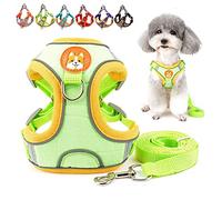 Zunea Ensemble Harnais et Laisse pour Petit Chien Anti Traction Réglable Réfléchissant Chiot Harnais Veste en Daim Souple Anti-Fuite Chat Harnais pour la Promenade pour Chihuahua Yorkshire Vert M