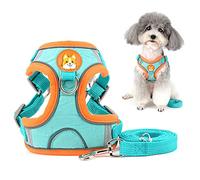 Zunea Ensemble Harnais et Laisse pour Petit Chien Anti Traction Réglable Réfléchissant Chiot Harnais Veste en Daim Souple Anti-Fuite Chat Harnais pour la Promenade pour Chihuahua Yorkshire Bleu M