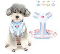 Zunea Harnais anti-traction pour chiens de très petite et petite taille - Harnais réglable avec anneau en D - Doux et respirant - Doublure en maille - Pour chat, chien, yorkshire, bleu, taille XS