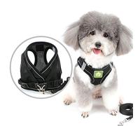 Zunea Harnais et Laisse pour Petit Chien Anti Traction Réglable Réfléchissant Chiot Chats Harnais Respirant en Maille Souple Veste pour Chihuahua Yorkshire pour Marcher, Courir, Formation Noir XS