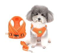 Zunea Harnais et Laisse pour Petit Chien Anti Traction Réglable Réfléchissant Chiot Chats Harnais Respirant en Maille Souple Veste pour Chihuahua Yorkshire pour Marcher, Courir, Formation Orange M