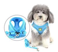 Zunea Harnais et Laisse pour Petit Chien Anti Traction Réglable Réfléchissant Chiot Chats Harnais Respirant en Maille Souple Veste pour Chihuahua Yorkshire pour Marcher, Courir, Formation Bleu M