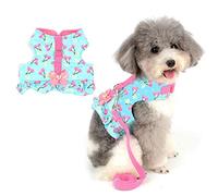 Zunea Harnais et Laisse pour Petit Chien Fille de Chiot Veste Robe, Anti Traction Harnais Chaton rembourré en Coton Doux et coloré avec nœud Mignon pour Chihuahua Yorkshire Bleu M