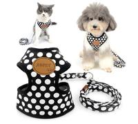 Zunea Harnais et Laisse Set pour Petit Chien Chat Anti Traction Réglable Mesh Rembourré Harnais Veste pour Chiot Chiens Chaton Noir M