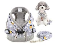 Zunea Harnais et Laisses pour Chiens Anti Traction Réglable Réfléchissant Mesh Rembourré Harnais Veste pour pour garçons et Filles Chiens Petite Taille Chat Chaton Gris M