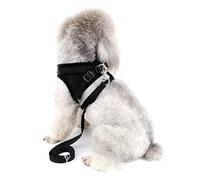 Zunea Harnais pour Chien pour Petit Chien Chat sans Tirer Harnais Ajustable en Maille Filet Souple rembourré Vest Harnais Laisse avec Ensemble de Bande réfléchissante Chiots Laisse pour Chien
