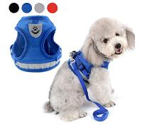 Zunea Harnais pour Chien pour Petit Chien Chat sans Tirer Harnais Ajustable en Maille Filet Souple rembourré Vest Harnais Laisse avec Ensemble de Bande réfléchissante Chiots Laisse pour Chien