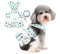 Zunea Robe Harnais pour Petit Chien Anti-Traction Harnais avec Laisse pour Chiot avec Aile d'ange Robe de Princesse Mignonne avec Anneau en D Fleurs Fraises Vêtements pour Chat Chihuahua Bleu XL