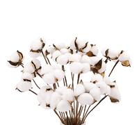 Zunedhys Lot de 20 tiges en coton artificielles, fleurs en coton, tiges artificielles en coton pour décoration de vase, décoration d'intérieur