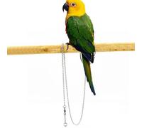 Zunishaone Parrot Foot Chain - Anneau de cheville en acier inoxydable pour perruques, raquettes et fraudes - Portable et sûr