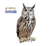Zunishaone Pendentif chouette effrayant pour oiseaux - Décoration de jardin à suspendre, faux prédateur extérieur | Cloche sonore étanche, installation de balcon et de terrasse pour obstacles à