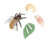 ZUNOXAZ 1 Ensemble Modèle de Cycle de des Abeilles Éducatif pour Garçon Fille Accessoire Enseignement Scolaire pour Éducation Scientifique Nature
