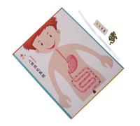 ZUNOXAZ 4 Ensembles Digestive System Model Kit for DIY Craft Materials Educational Science Toy for School Early Learning and Assembly