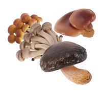 ZUNOXAZ 4 pièces Modèles Cycle Vie Champignon Jouets Éducatifs Garçon Fille Simulation Croissance PVC Kit Cognition Naturelle
