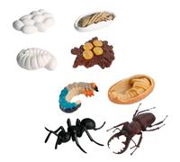 ZUNOXAZ 8 pièces Modèles Animaux Éducatifs Cycle de Vie Ouvrière Figurines Détaillées Jouets Cognitifs pour Garçon Fille Apprentissage Nature
