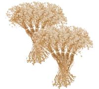 ZUNOXAZ Bouquet de Fleurs Séchées Gypsophile Naturel 10 Pièces, Fleurs Artificielles Éclatantes, Hauteur 12 Cm, Couleur Crème, Décoration Intérieure et Mariage, Composition DIY pour