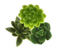 ZUNOXAZ Lot De 3 Boutures De Succulentes Artificielles pour Décoration Végétale, Appartements Témoins, Bars Et Loisirs Créatifs