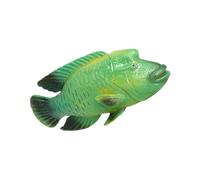 ZUNOXAZ Modèle De Poisson De Simulation Napoléon pour Garçon Et Filles, Taille Moyenne, Plastique Solide, Réaliste Et Solide, Jouet Éducatif Marin, Décoration Aquarium, Figurine Animale Réaliste