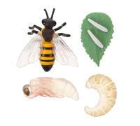 ZUNOXAZ Modèle Éducatif Cycle de Vie Abeille Figurine Simulation Croissance Insecte Décor Apprentissage Scolaire