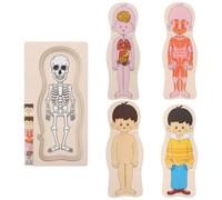 ZUNOXAZ Puzzle Bois Éducatif Corps Humain Multi-Couches pour Garçon Fille Cognitif Montessori Outil Apprentissage Anatomie pour Garçons et Filles Maternelle Jeu Éducatif Interactif