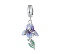 ZUOHUI Breloques en perles d'iris en argent sterling 925 dégradé for femme, pendentif messager d'amour fait à la main for bracelets et colliers Pandora ou européens