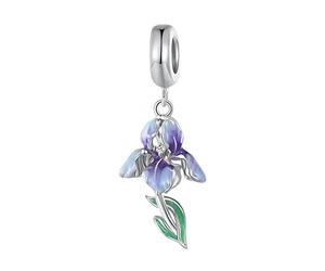 ZUOHUI Breloques en perles d'iris en argent sterling 925 dégradé for femme, pendentif messager d'amour fait à la main for bracelets et colliers Pandora ou européens