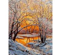 Zuooyi Peinture par Numéro Adulte Arbre, Paysage Enneigé DIY Peinture Acrylique pour Enfant Débutants, Kit de Peinture à l'huile sur Toile Bricolage pour Décoration Maison 40x50cm (Cadre DIY)