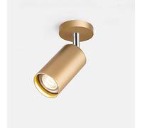 ZUOZUIYQ Appliques murales Appliques Plafonnier Spot 7W Rotatif Gu10 vers Le Bas, Lampe Murale montée, Lampe d'accent de décoration d'affichage de Bijoux pour Couloir, Couloir, Cuisine, îlot