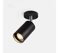 ZUOZUIYQ Appliques murales Appliques Plafonnier Spot 7W Rotatif Gu10 vers Le Bas, Lampe Murale montée, Lampe d'accent de décoration d'affichage de Bijoux pour Couloir, Couloir, Cuisine, îlot